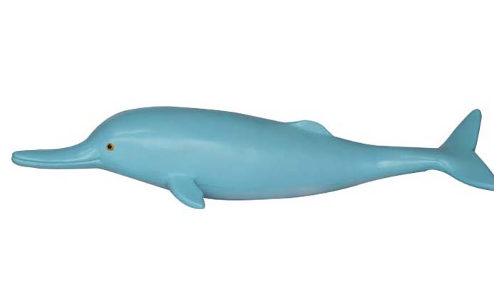 仿真白鳍豚模型