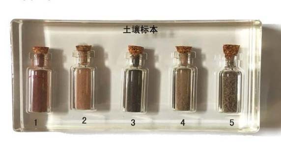 土壤标本